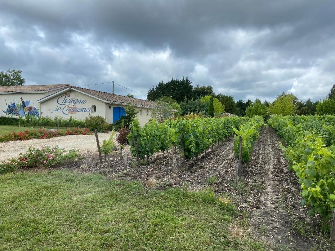 Domaine Du Cassana Villa Saint-Sauveur  Exteriör bild